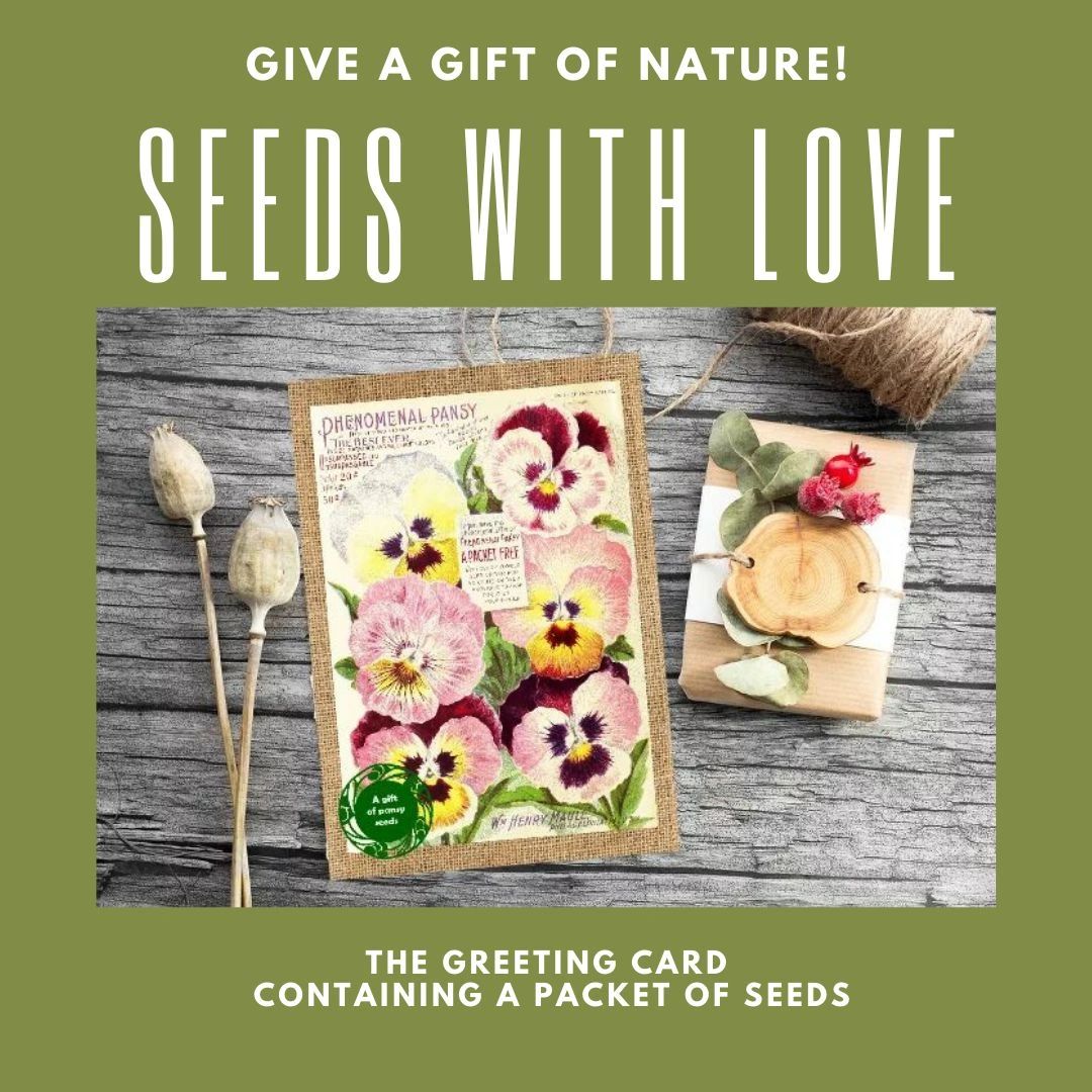 Seeds With Love - The Video